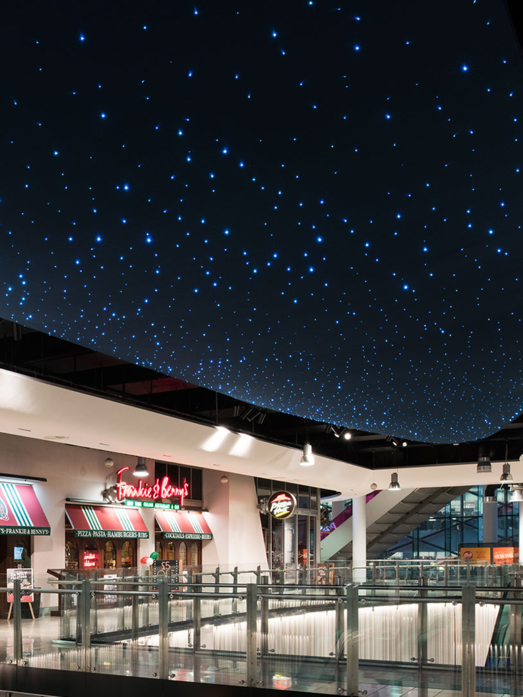 UFO Fiber Optic Lighting