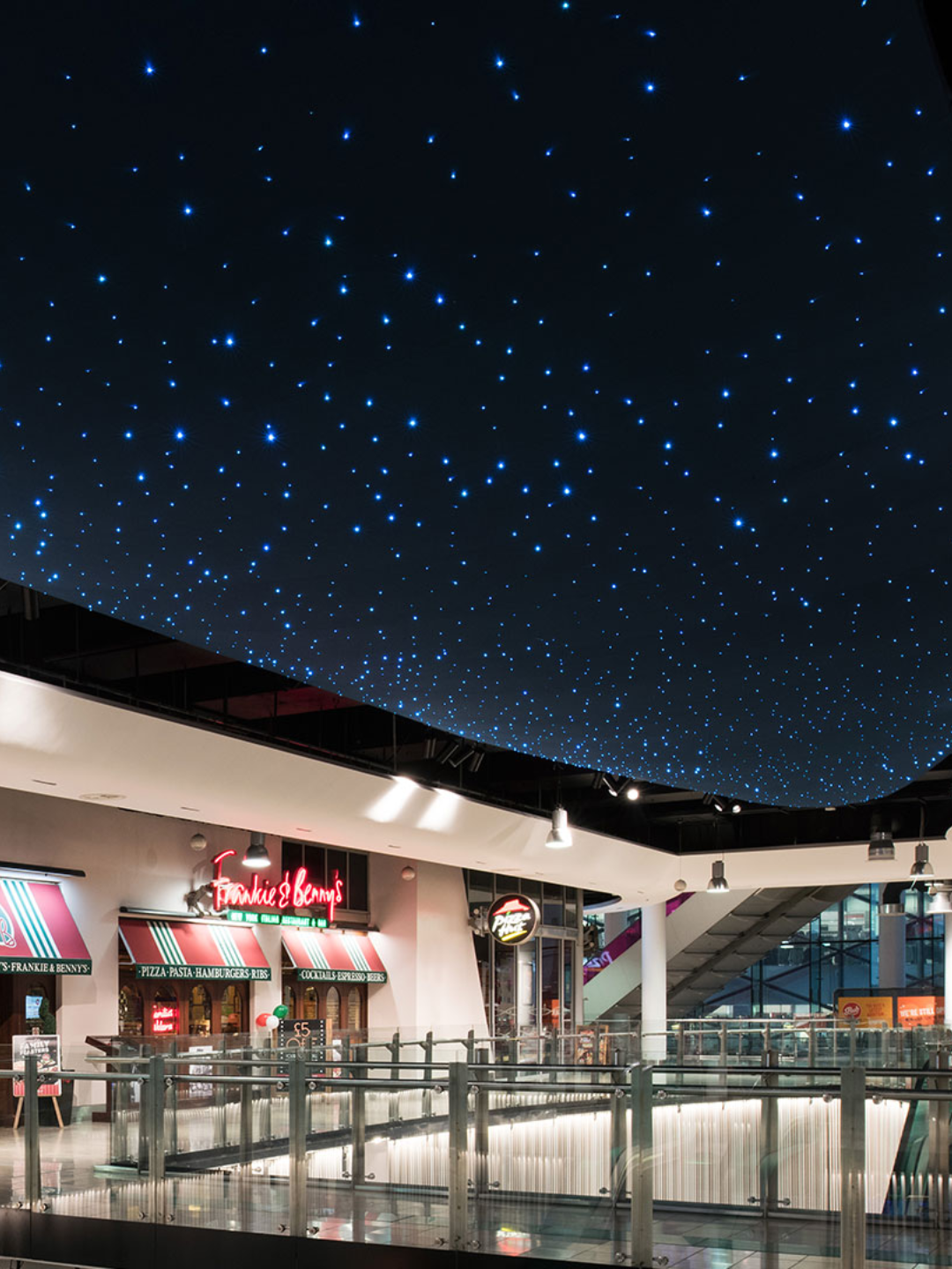 UFO Fiber Optic Lighting