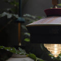 Calypso Suspension Outdoor