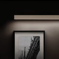 Fly Wall Picture