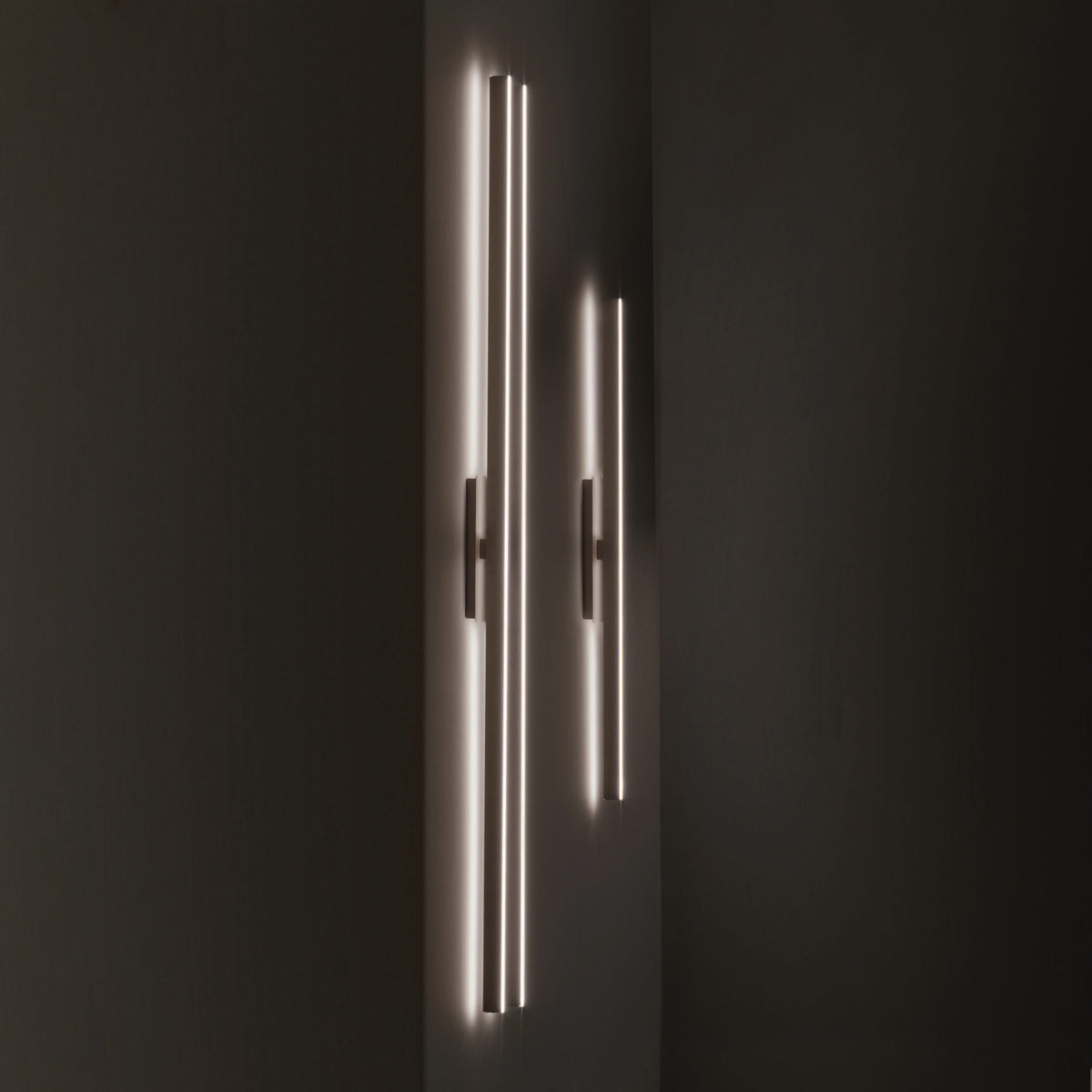 Fly Wall