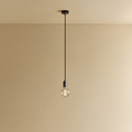 Elva Pendant Light Non-Tinted in Graphite