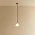 Noma Pendant Light in Graphite