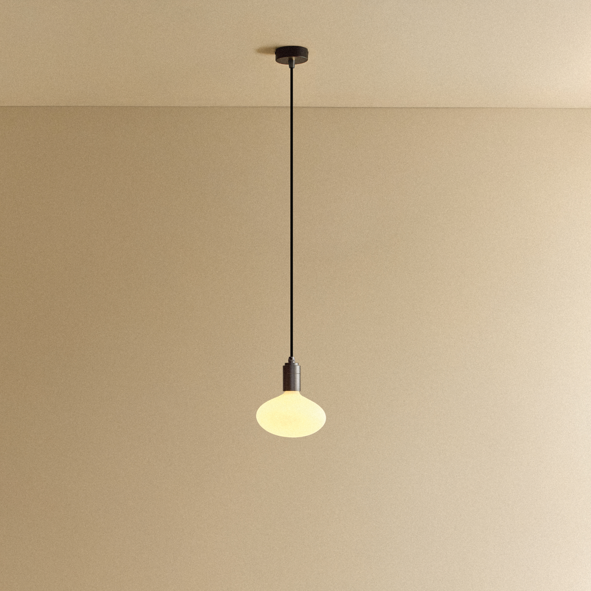 Oval Pendant Light in Graphite