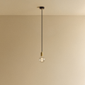 Elva Pendant Light Non-Tinted in Brass