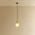 Oblo Pendant Light in Brass