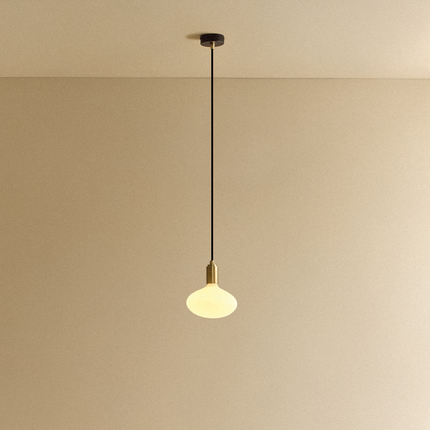 Oval Pendant Light in Brass