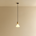 Noma Pendant Light in Oak