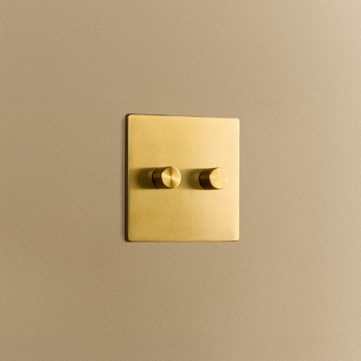 Double Rotary Wall Dimmer in Brass
