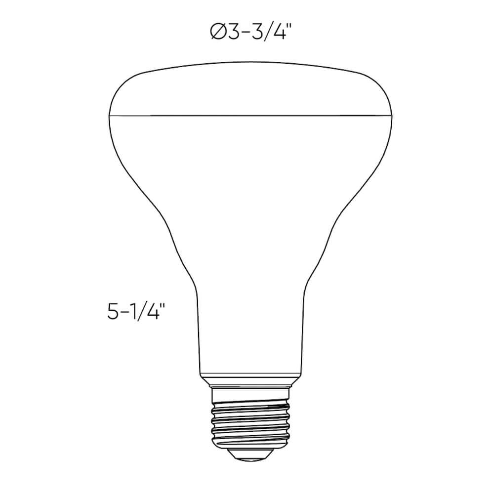 BR30 Smart Bulb
