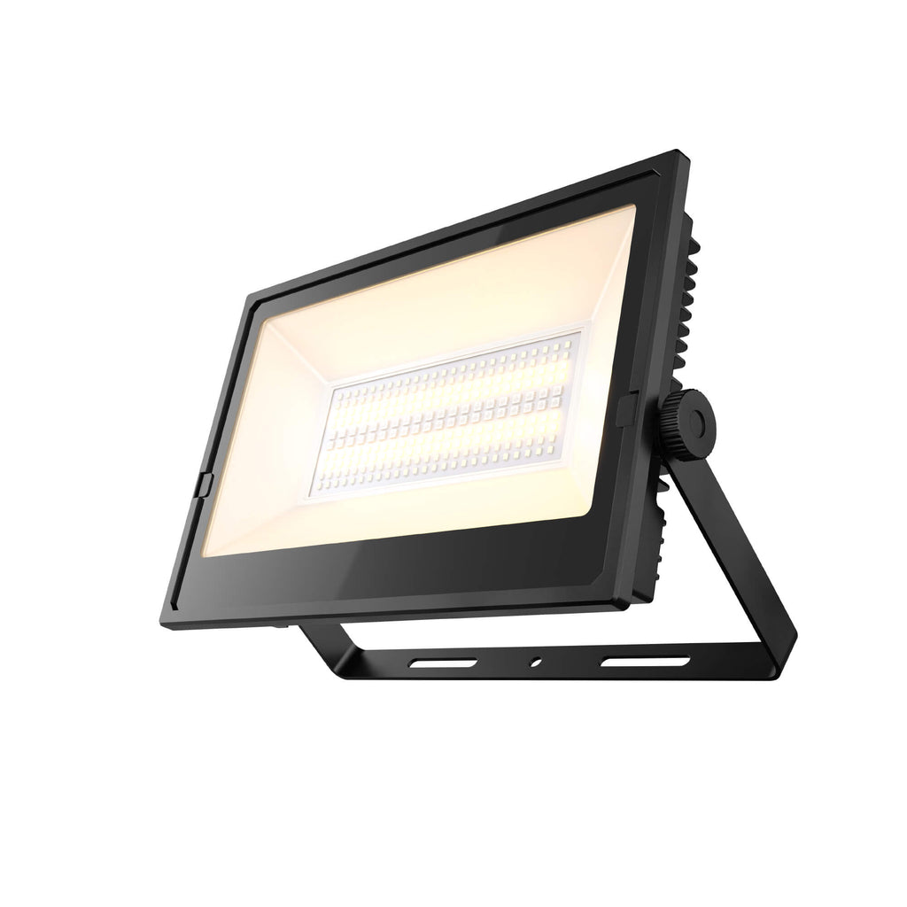 100W Flood Light angle view