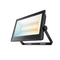 100W Flood Light