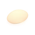 18 inch Smart Rock Light