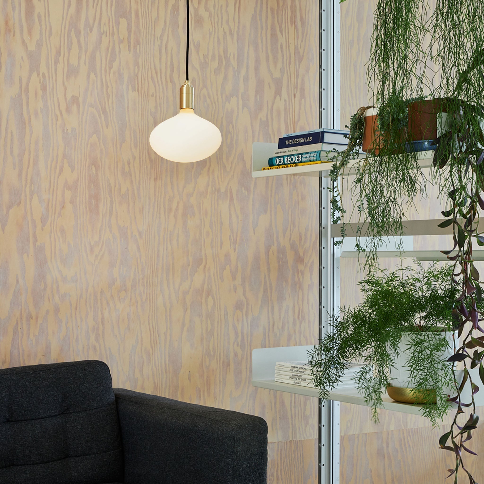 Oval II Pendant Light in Graphite